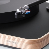 concept MC wood